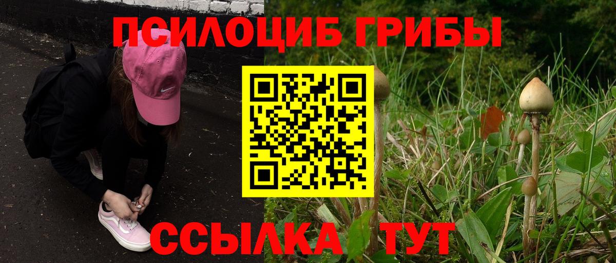 Псилоцибиновые грибы ЛСД Апатиты